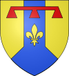 Département des Bouches-du-Rhône (13).