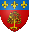 Blason ville fr Castelnau-de-Brassac (Tarn).svg