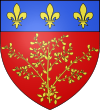 Blason ville fr Ginestas (Aude).svg