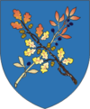 Coat of Arms of Dziaržynsk, Belarus.png