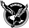 Football Namibie federation.png