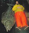 Halibut size comparison.jpg