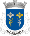 SRD-alcaravela.png