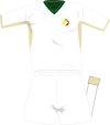 Senegal home kit 2008.svg