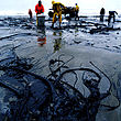 Pollution par marée noire en 2004