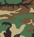 US Woodland pattern.png