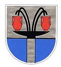 Blason de Leiningen