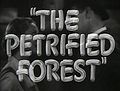 Title from The Petrified Forest film trailer.jpg