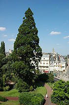 France Loir-et-Cher Blois Square Victor Hugo 01.JPG