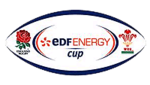 Edf Energy Cup logo.png