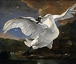 Jan Asselijn - The Threatened Swan.jpg