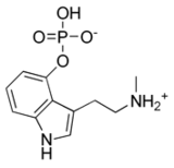 Structure de la baeocystine