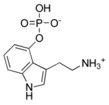 Structure de la norbaeocystine