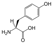 L-tyrosine-skeletal.png