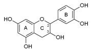 Catechin numbered.PNG