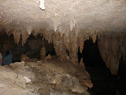 Mammoth Cave National Park 004.jpg