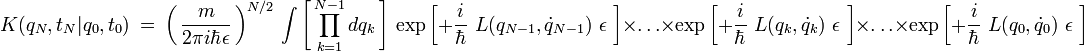K(q_N,t_N|q_0,t_0) \ = \ \left( \, \frac{m}{2 \pi i  \hbar \epsilon} \, \right)^{N/2} \ \int \left[ \, \prod_{k=1}^{N-1} dq_k \, \right] \   \exp \left[ + \frac{i}{\hbar} \  L(q_{N-1},\dot{q}_{N-1}) \ \epsilon \ \right] \times \dots \times \exp \left[ + \frac{i}{\hbar} \  L(q_k,\dot{q}_k) \ \epsilon \ \right] \times  \dots \times \exp \left[ + \frac{i}{\hbar} \  L(q_0,\dot{q}_0) \ \epsilon \ \right] 