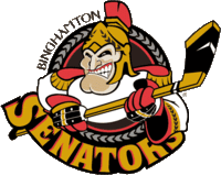 Accéder aux informations sur cette image nommée Binghamton Senators.gif.