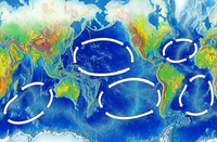 Les cinq principaux gyres océaniques