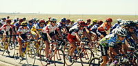 Peloton9806 135.jpg