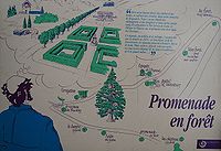 Roquedols Promenade en forêt (2).jpg