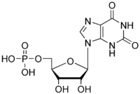 Xanthylic acid.png