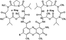 Actinomycine D