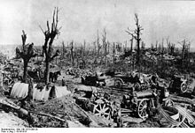 Photographie montrant les bois et forêts où les armées tentaient de se cacher ont été ravagées par les pilonnages, ici entre Arras et Bapaume