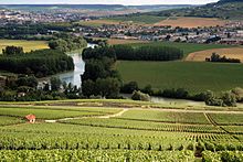 Photographie en couleur montrant un paysage verdoyant de coteaux en Champagne, surplombant une rivière au loin.