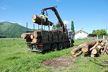 Déchargement de troncs d'arbre à Lézignan
