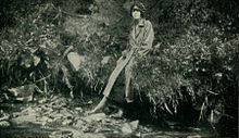 Elsie Wright en 1920, assise sur le buisson où la première photographie des fées de Cottingley a été prise.