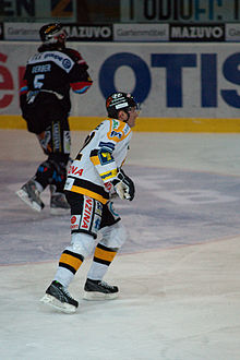 Accéder aux informations sur cette image nommée Robert Reichel-Fribourg-Gottéron vs. HC Litvinov, Exhibition game, 20th February 2010.jpg.