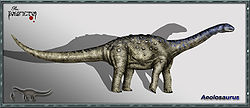  Aeolosaurus sp.