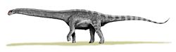  Argentinosaurus (vue d'artiste)