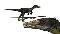 Austroraptor cabazai reconstruction.