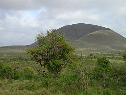 Vue du Cerro Pajas.