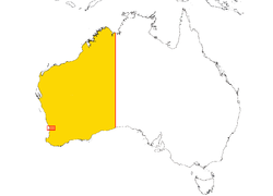 Localisation de la Colonie du fleuve Swan à ses débuts (le carré rouge colorié en orange foncé) et à son extension maximale en 1832 (en jaune).