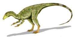 Camp de Canjuers (Var), Compsognathus fossile