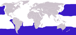 Diomedeidae distribution.png