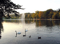 Lac de Genval