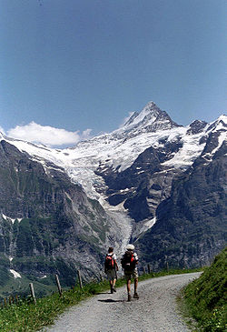 Le Schreckhorn et le glacier supérieur de Grindelwald