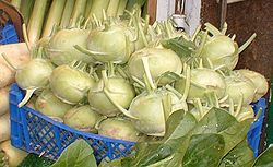  Brassica oleracea var. gongylodes