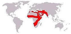 Répartition du caracal