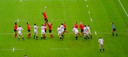 Lineout-EvW-2004.jpg