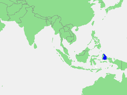 Carte de la mer d'Halmahera.