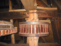Engrenages de moulin hollandais en balata