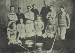 Montreal Shamrocks Club 1899.png
