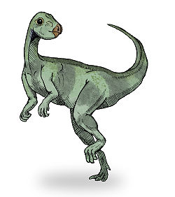  Qantassaurus (vue d'artiste)