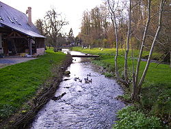 Rivière d'Angerville.JPG