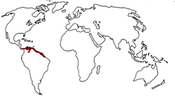 Scarlet Ibis range map.png